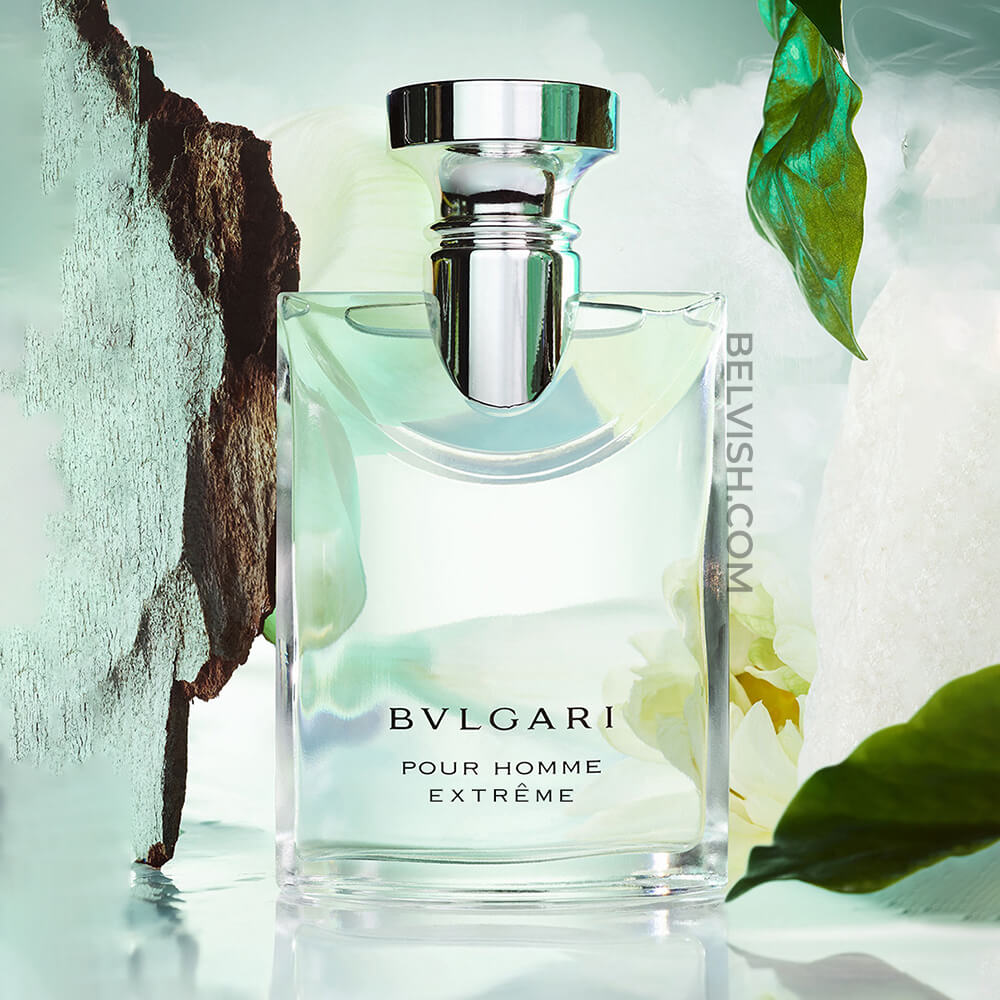 香水(男性用) BVLGARI Aqva Pour Homme 100ml EDT Shop Bvlgari Aqva Pour Homme Eau de Toilette | Belvish