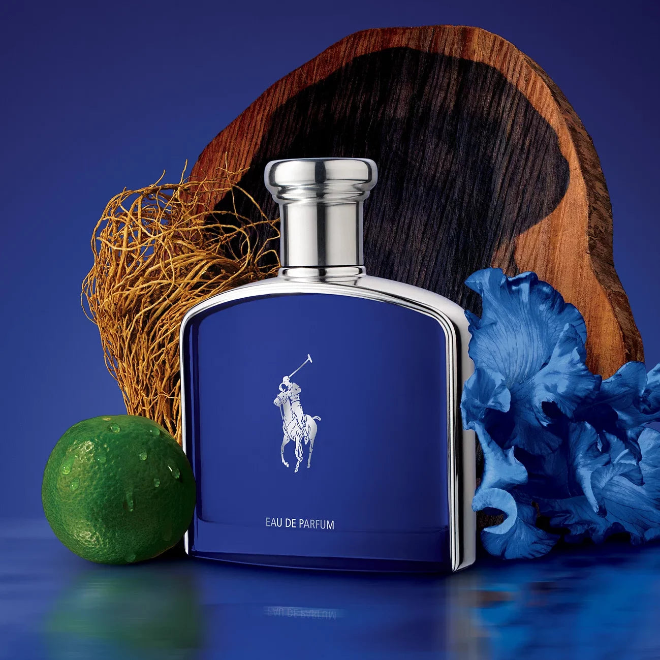 Ralph lauren blue edp best sale