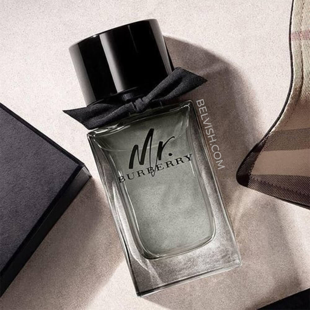 mr burberry for men