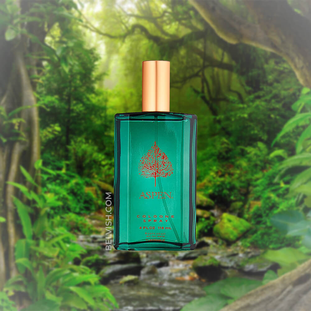 Coty Aspen Cologne for Men - Main Image