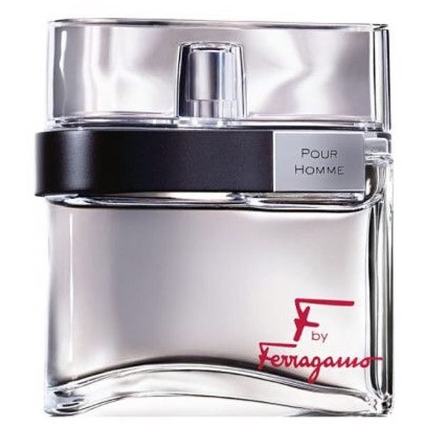 Salvatore Ferragamo Uomo Signature EDP