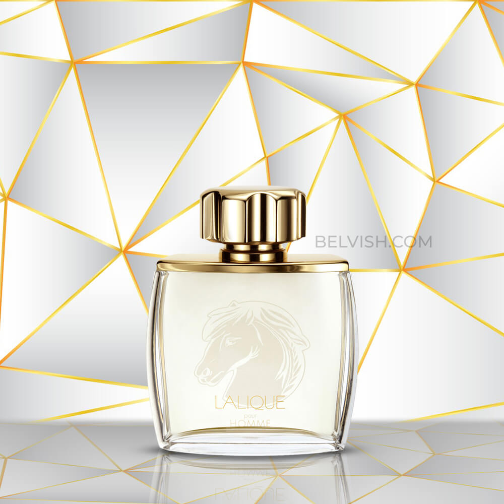 Lalique Equus Pour Homme Eau de Parfumfor Men | Belvish