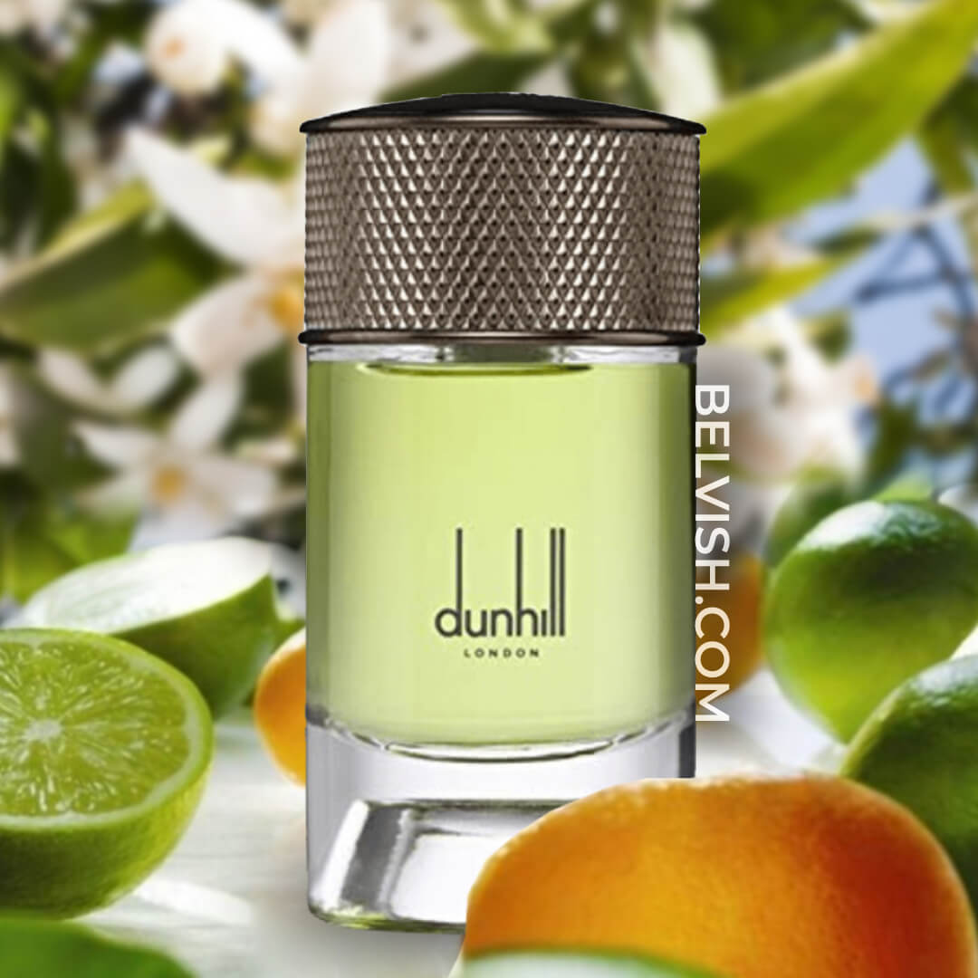 Dunhill Amalfi Citrus Price | www.nz-tourism.com