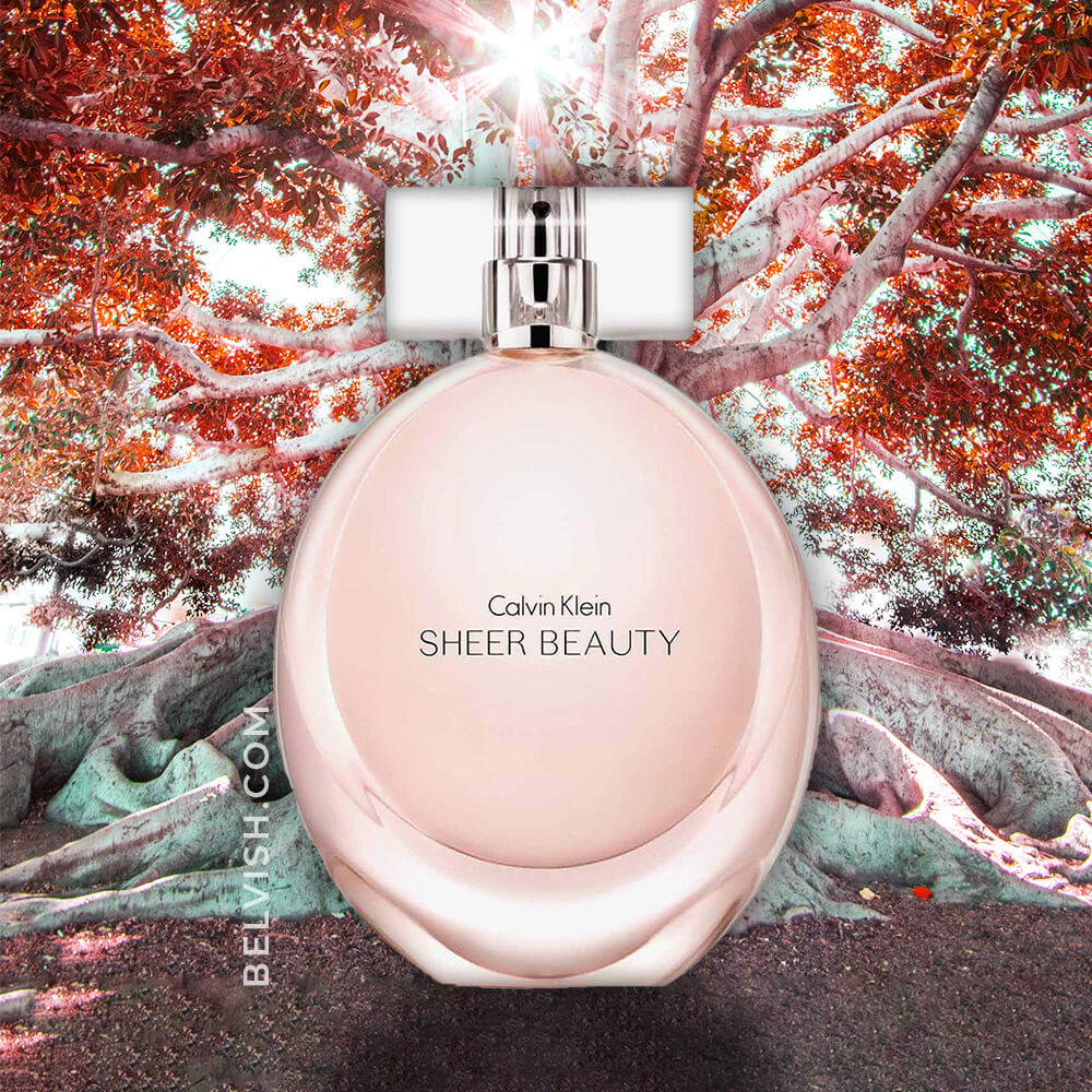 Calvin klein sheer beauty perfume deals