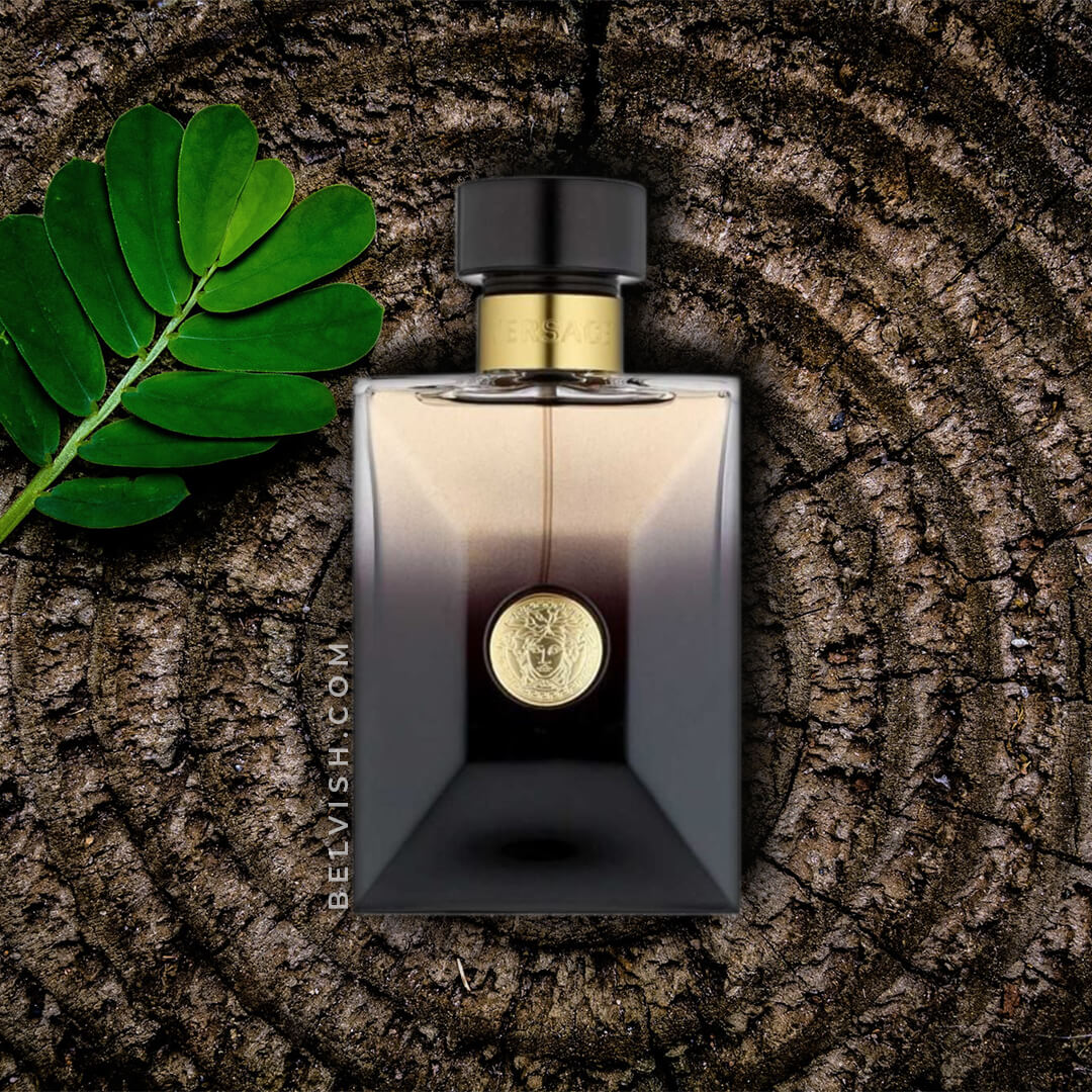Versace Oud Noir EDP for Men - Main Image